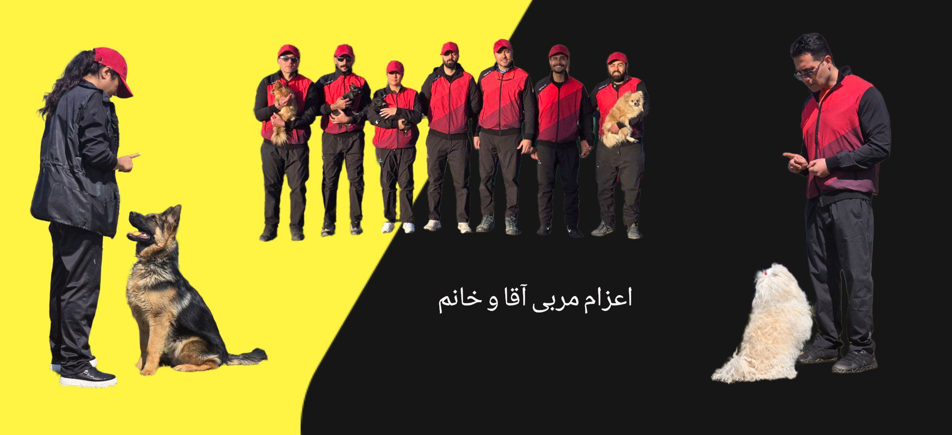 مربی سگ را از الو مربی سگ بخواهید .  02636331211